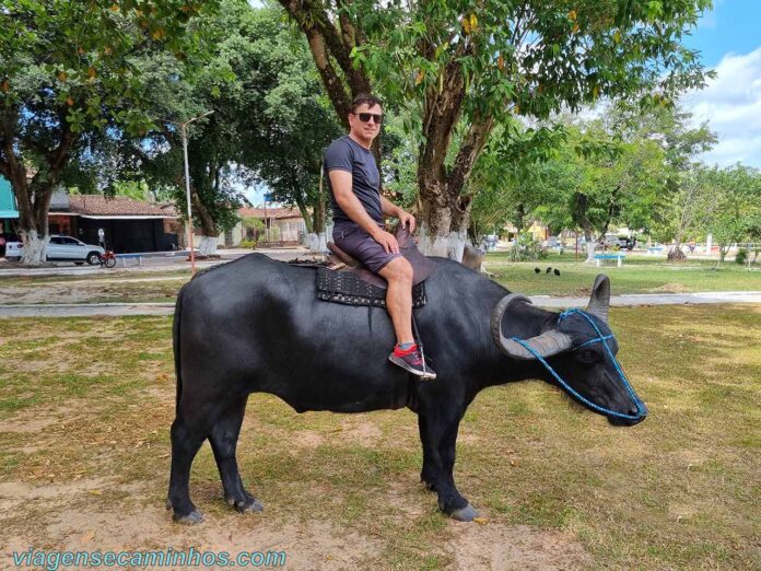 Ilha De Maraj Par Como Chegar E O Que Fazer Viagens E Caminhos