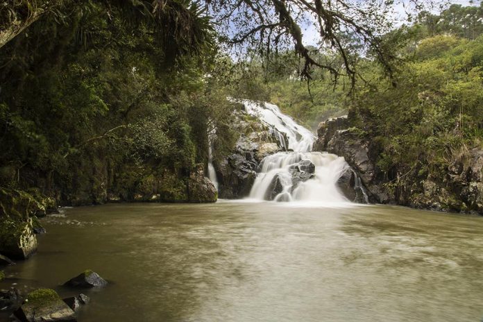 O Que Fazer Em Campo Alegre Sc Pontos Tur Sticos E Dicas Viagens E