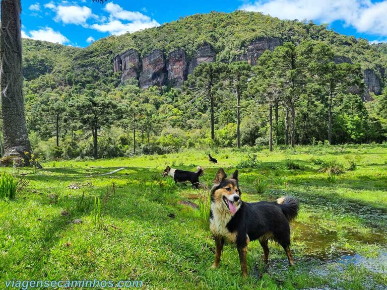 O Que Fazer Em Rio Rufino Sc Viagens E Caminhos