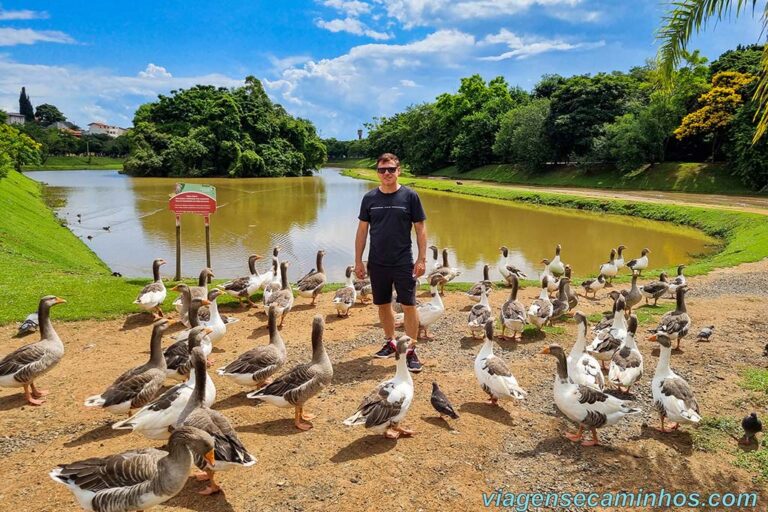 O Que Fazer Em Campinas Sp Pontos Tur Sticos Viagens E Caminhos