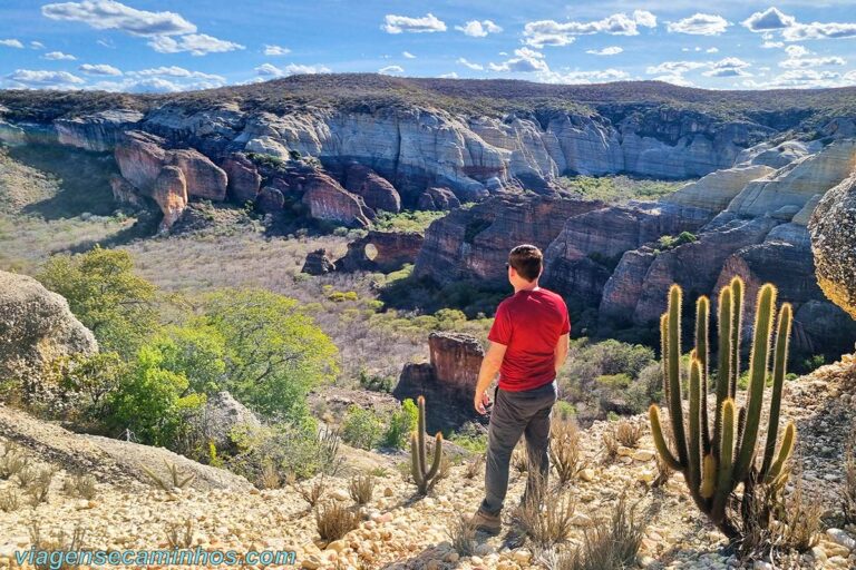 Serra Da Capivara Guia De Visita O E Atra Es Viagens E Caminhos