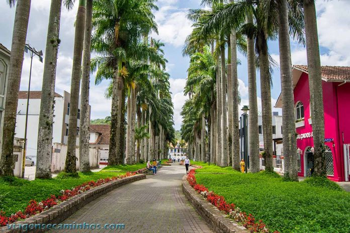 O que fazer em Joinville Pontos turísticos e dicas Viagens e Caminhos