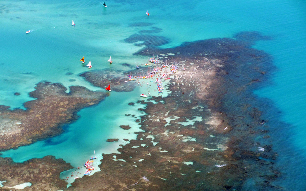 Piscina natural da Pajuçara - Maceió