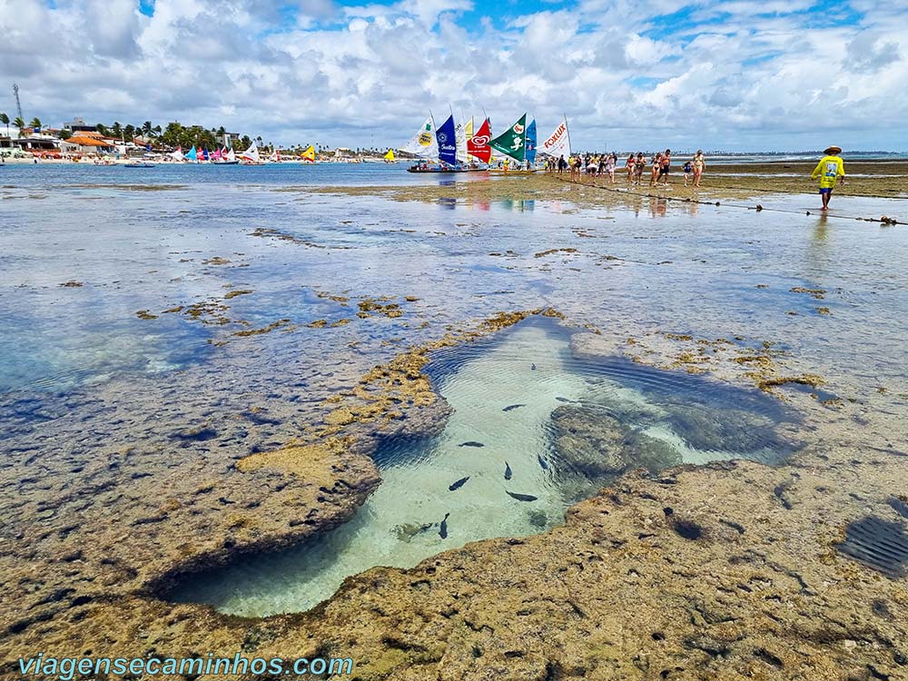 Porto de Galinhas - Passeio de jangada