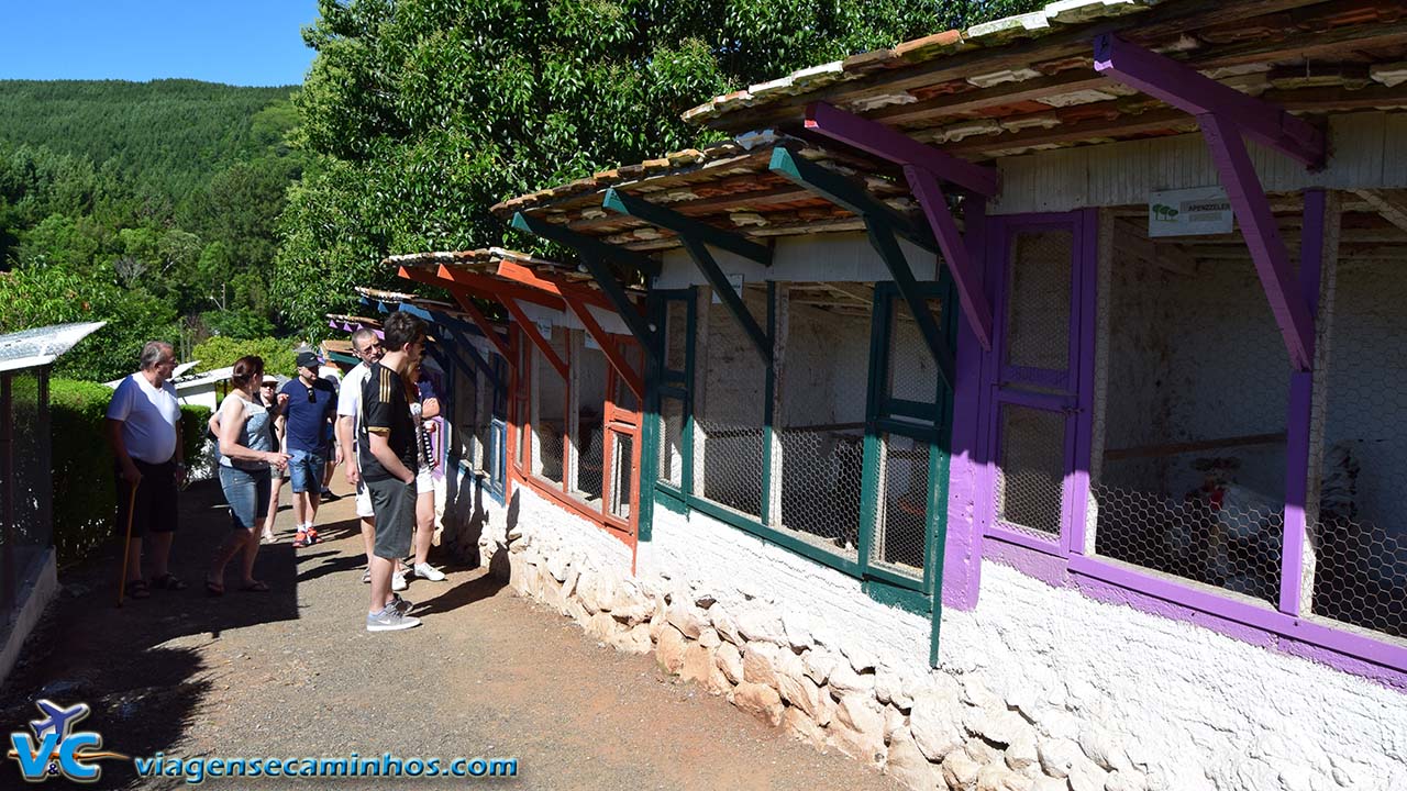 Mini Zoo do Parque Três Pinheiros