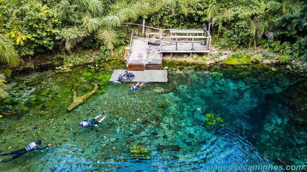 Nascente Azul Balne Rio Flutua O Mergulho Aventura Viagens E