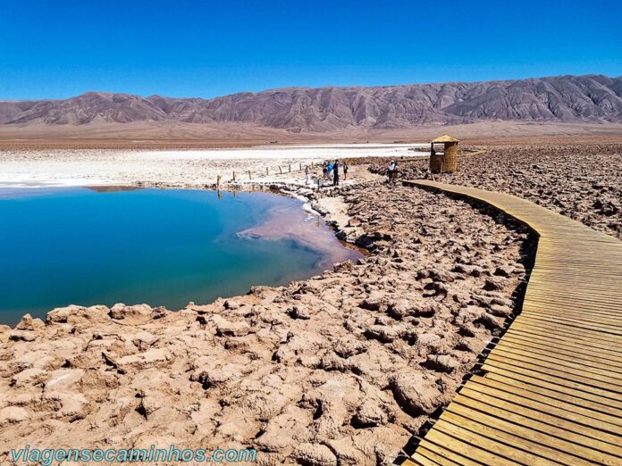 Lagunas Escondidas de Baltinache: Lagoas coloridas do Atacama - Viagens ...