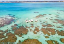 Maragogi - Piscinas naturais de Galés