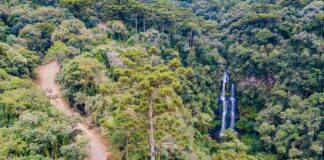 Cascata da Baleia - Ilópolis