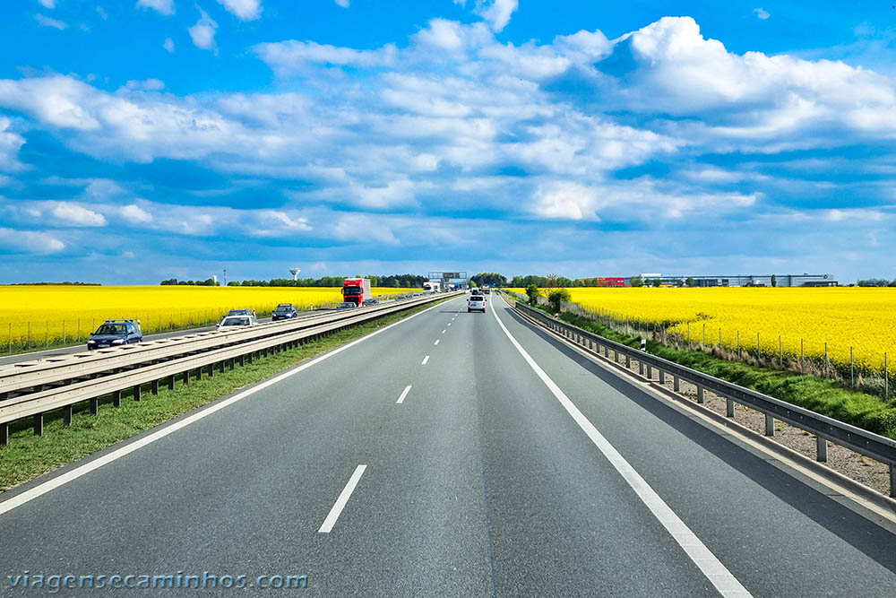 Plantação de Canola e rodovia na República Tcheca