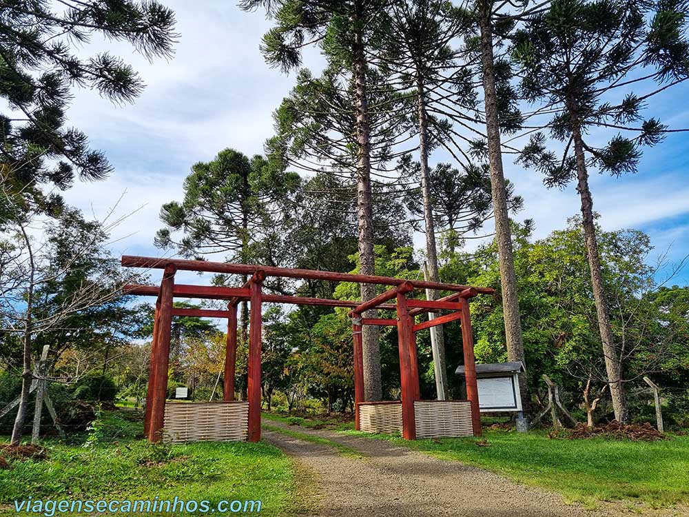 Parque Sakura - Frei Rogério SC