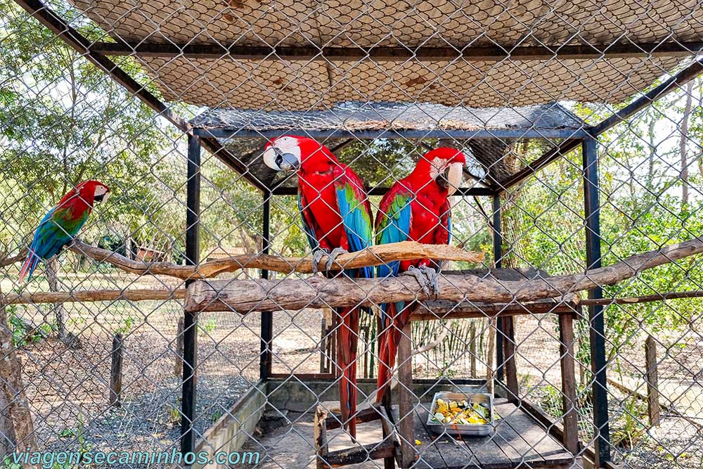 Bioparque Zoobotânico de Teresina