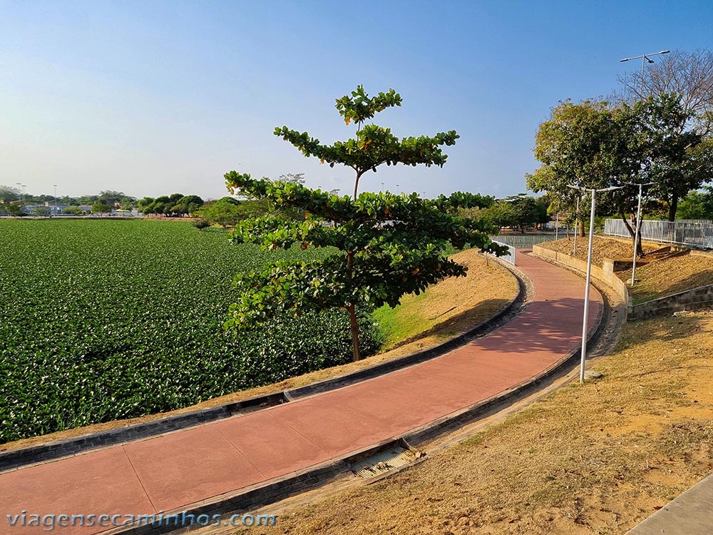 Parque Matias Augusto Oliveira - Teresina - Piauí