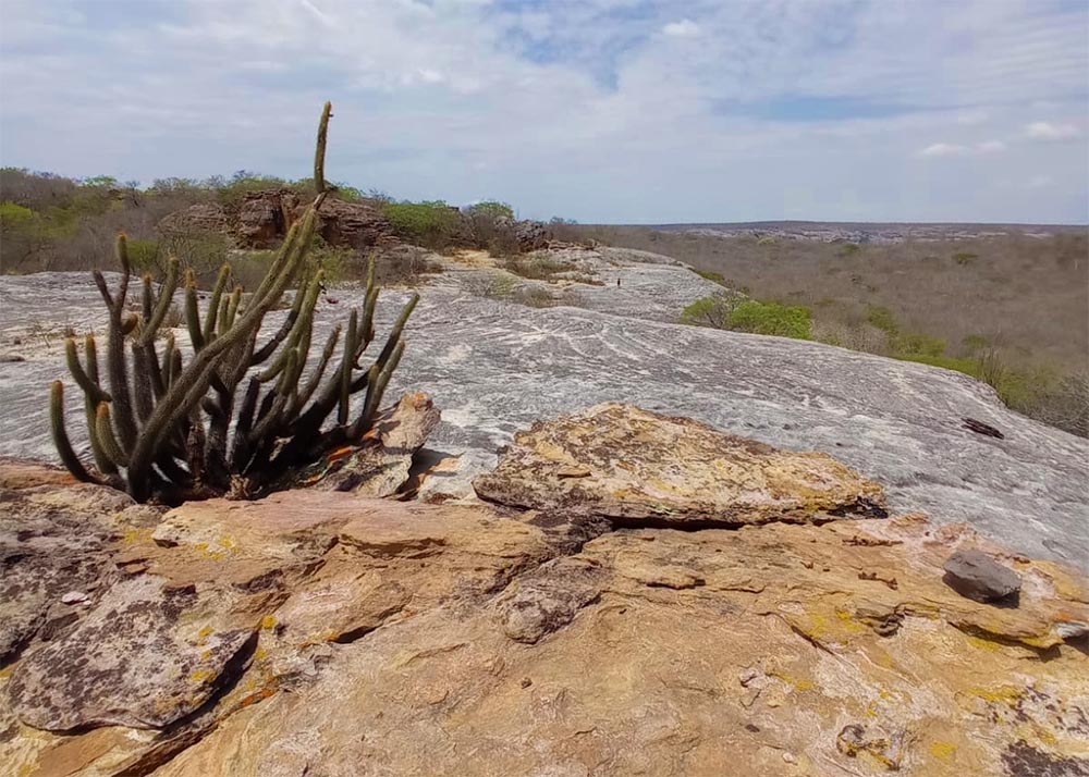 Serra da Capivara - Serra Branca