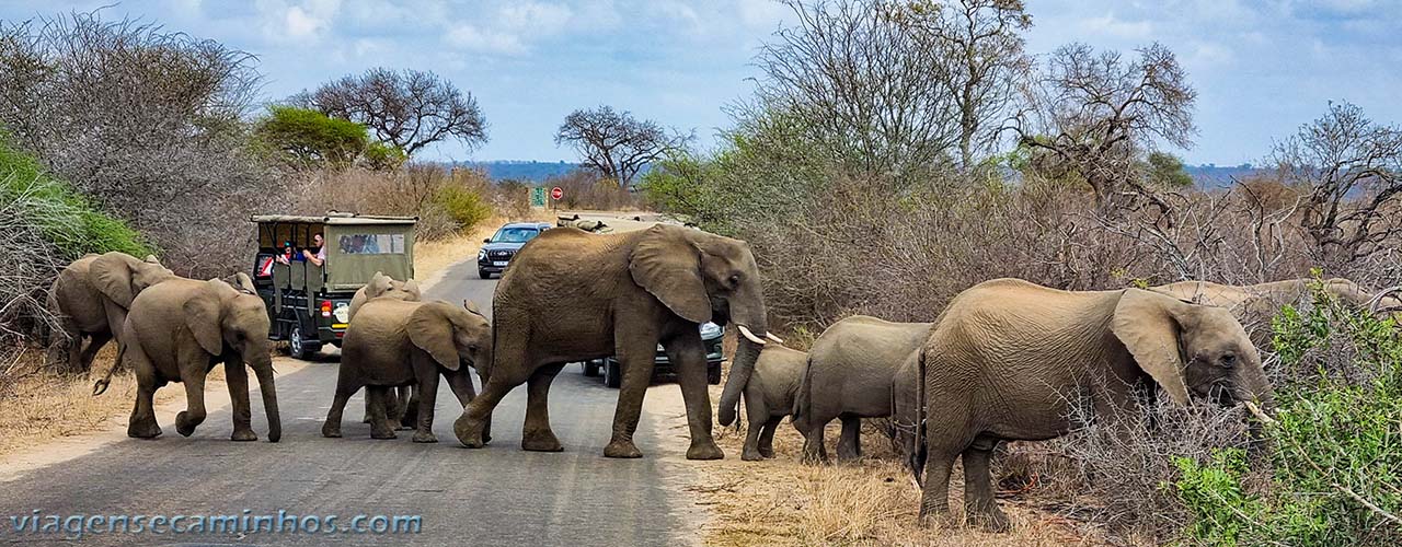 África do Sul - Parque Nacional Kruger