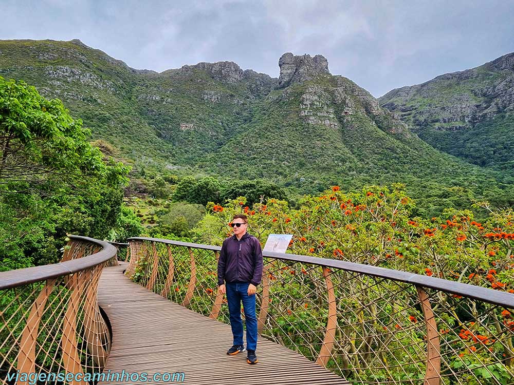 Kirstenbosch National Botanical Garden - Cidade do Cabo