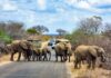 Kruger National Park