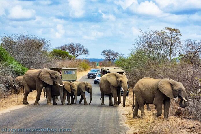 Kruger National Park