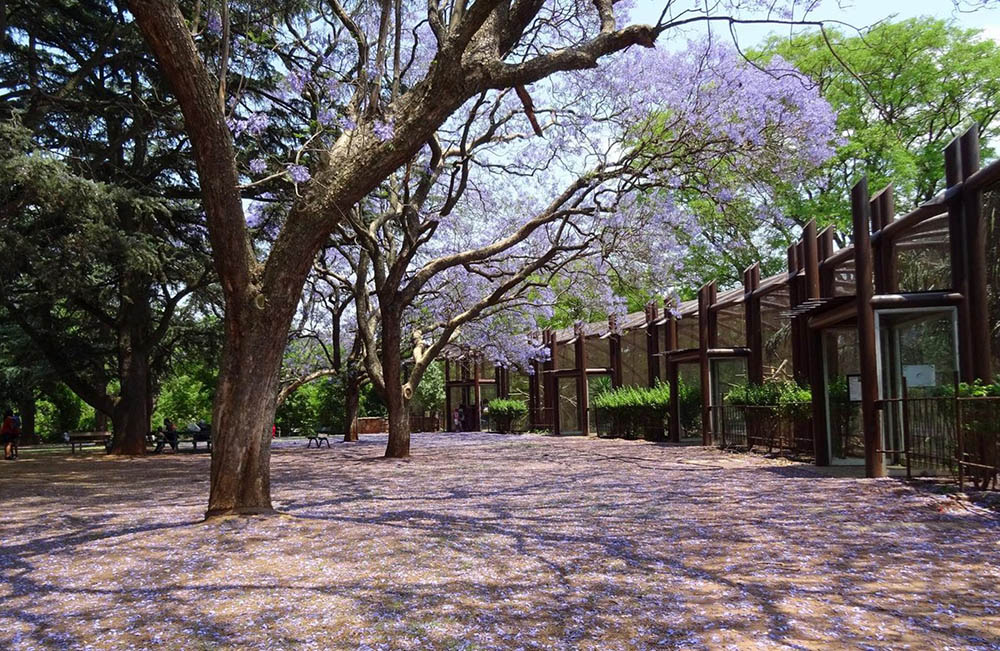 Jardim Botânico de Joanesburgo