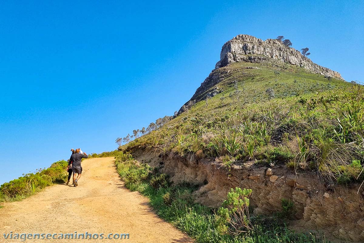 Lion's Head trail