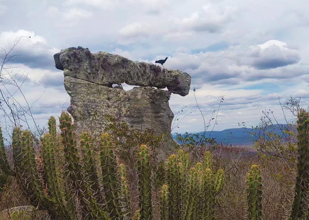 Vale do Catimbau - Trilha de Umburana