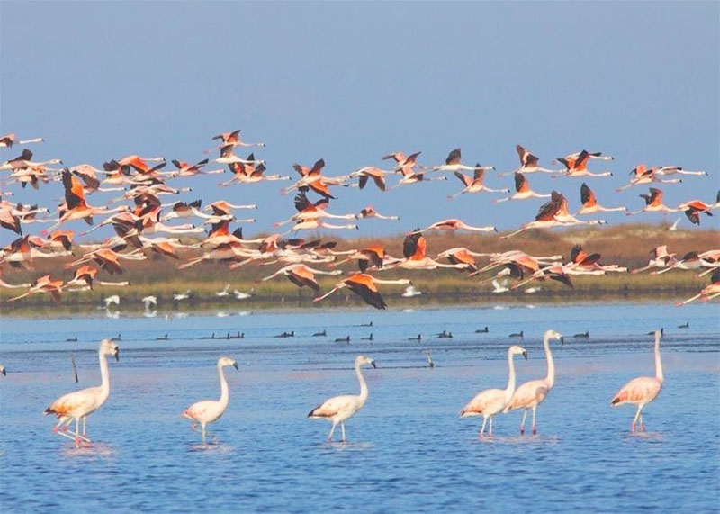 Parque Nacional da Lagoa do Peixe